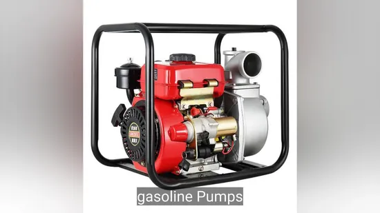 ISO14001 High Temperature and Wear Resistanc 2 3"4 Gasoline Pumps